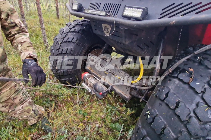 дайнима купить